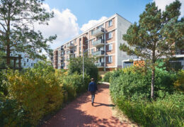 CHAPERON VERT – Arcueil