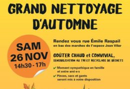 Nettoyage d’automne