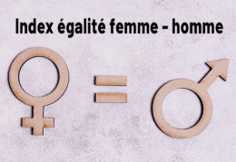 Index égalité femmes hommes 2024