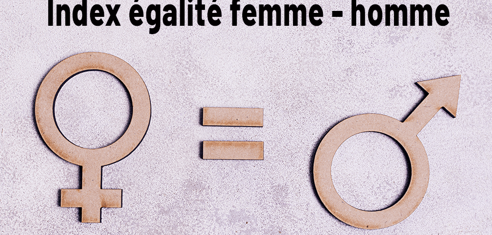 Index égalité femmes hommes 2024