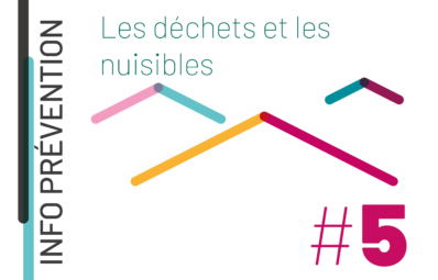 https://www.valdevy.fr/wp-content/uploads/2026/06/miniature_prevention_sensibilisation_dechets_nuisibles_5-398x255.png
