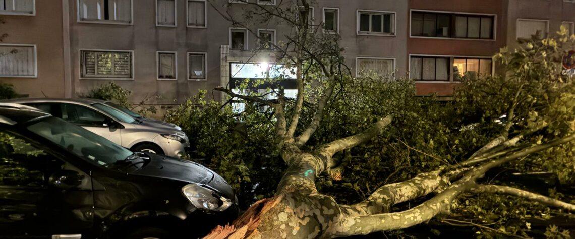 Tempête : les équipes de Valdevy mobilisées sur le terrain