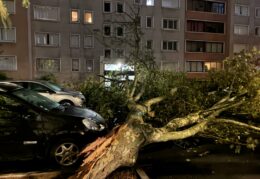 Tempête : les équipes de Valdevy mobilisées sur le terrain