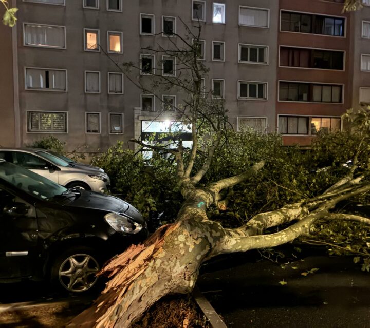 Tempête : les équipes de Valdevy mobilisées sur le terrain